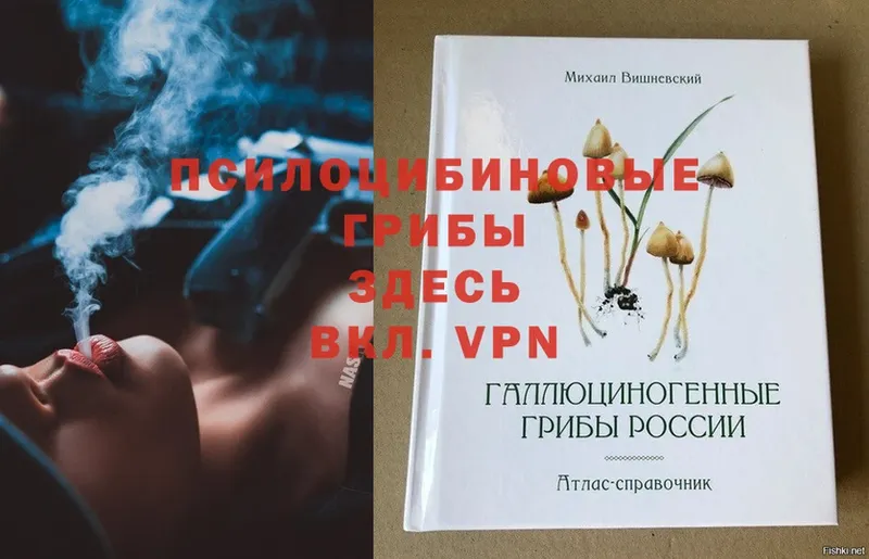 Виды наркотиков купить Константиновск Альфа ПВП  Галлюциногенные грибы  ГАШИШ  Марихуана  Меф мяу мяу  KRAKEN ССЫЛКА  АМФЕТАМИН 