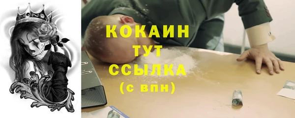 прущая мука Вяземский